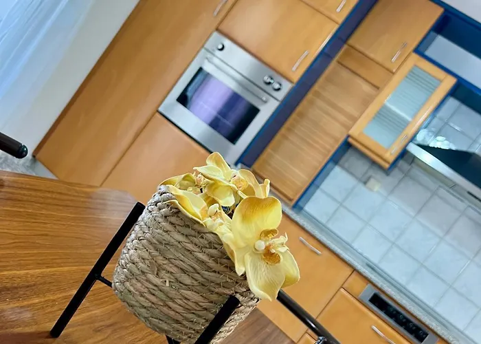 No9 Sea View & Bbq Flat דירה Néa Péramos